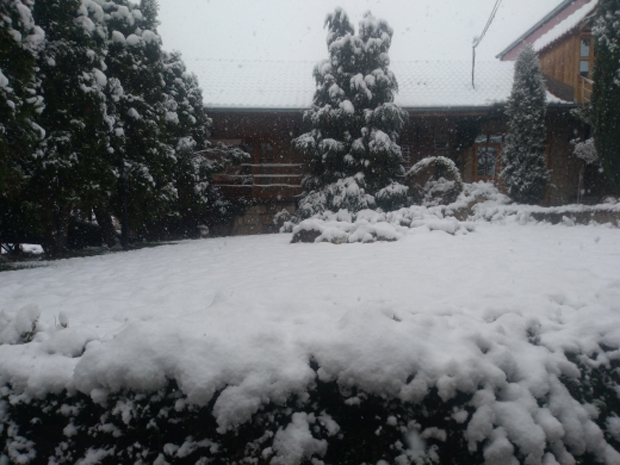 Снег у Србији на 1. април: У једном граду 10 центиметара белог покривача (ФОТО)